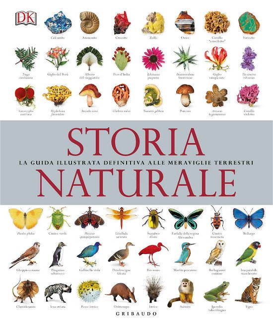 Cover for Aa Vv · Storia Naturale. La Guida Illustrata Definitiva Alle Meraviglie Terrestri (Book)