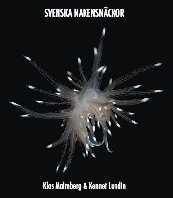 Cover for Kennet Lundin Klas Malmberg · Nakensnäckor (Paperback Book) (2015)