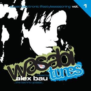 Wasabi Tunes 1 / Various - Wasabi Tunes 1 / Various - Musik - ZYX - 0090204779475 - 7. juli 2009