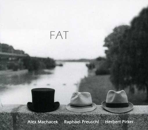 Cover for Machacek,alex / Preuschl,raphael / Pirker,herbert · Fat (CD) (2012)