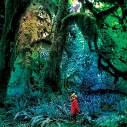 Cover for Jacco Gardner · Cabinet of Curiosities (CD) (2015)