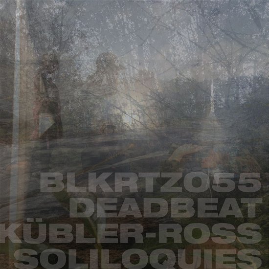 Cover for Deadbeat · Kubler-Ross Soliloquies (LP) (2024)