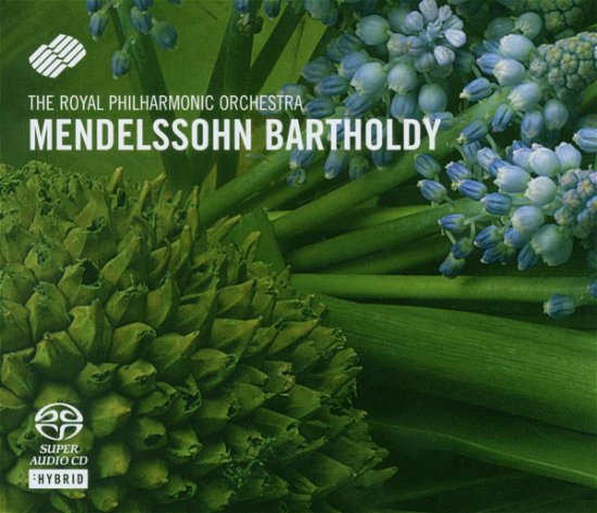 Cover for Royal Philharmonic Orchestra · Mendelssohn: Violinkonzert, Ein Sommernachtstraum (SACD) (2012)