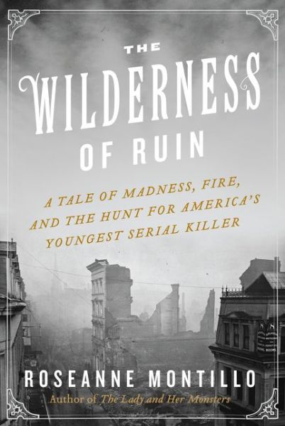 Cover for Roseanne Montillo · The Wilderness of Ruin: A Tale of Madness, Fire, and the Hunt for America's Youngest Serial Killer (Hardcover Book) (2015)