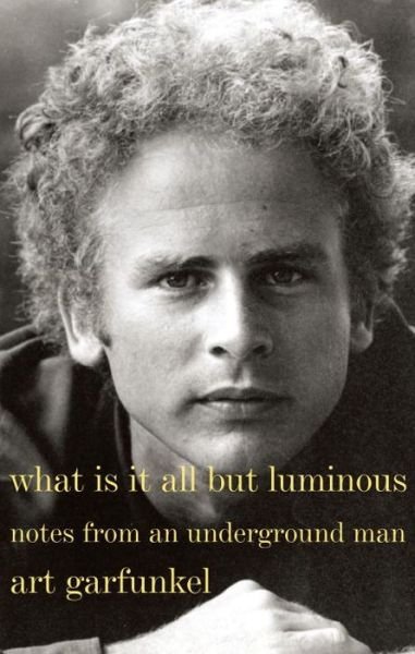 What Is It All but Luminous - Garfunkel - Bøger - Random House USA Inc - 9780385352475 - 21. september 2017