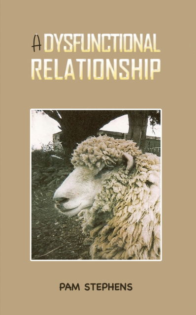 Cover for Pam Stephens · A Dysfunctional Relationship (Paperback Book) (2025)