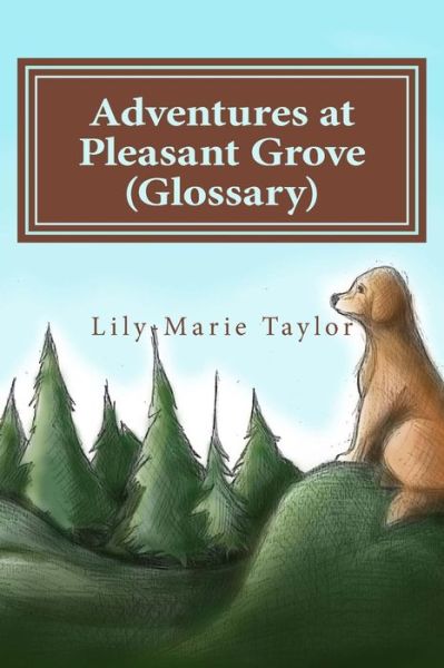 Cover for Lily-marie Taylor · Adventures at Pleasant Grove (Glossary) (Paperback Book) (2015)