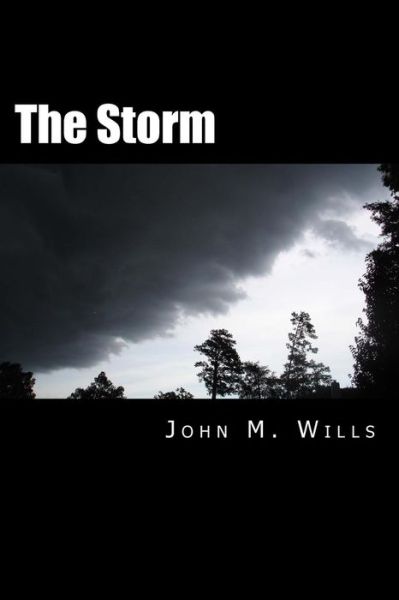 Cover for John M Wills · The Storm (Paperback Book) (2016)