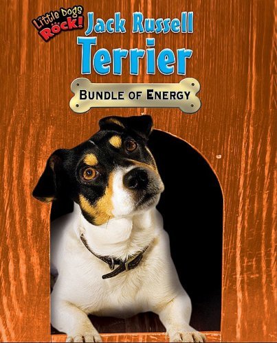 Cover for Natalie Lunis · Jack Russell Terrier: Bundle of Energy (Little Dogs Rock!) (Inbunden Bok) (2009)