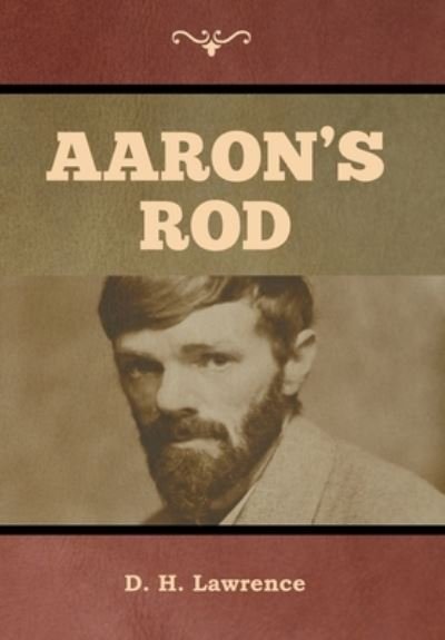 Cover for D. H. Lawrence · Aaron's Rod (Bok) (2020)