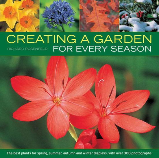 Creating a Garden for Every Season: the Best Plants for Spring, Summer, Autumn and Winter Displays, with Over 300 Photographs - Richard Rosenfeld - Books - Anness Publishing - 9781780192475 - May 16, 2013