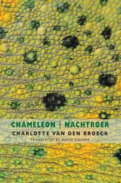 Cover for Charlotte Van den Broeck · Chameleon | Nachtroer (Paperback Book) (2020)