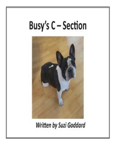 Cover for Suzi Goddard · Busy's C - Section (Paperback Book) (2017)