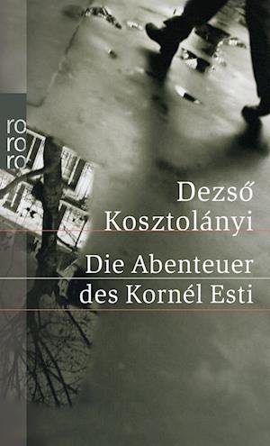 Cover for DezsÃ¶ KosztolÃ¡nyi · Roro Tb.24147 Kosztolányi.abenteuer (Bog)