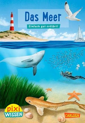 Cover for Brigitte Hoffmann · Pixi Wissen Nr. 11: VE 5 Das Meer (5 Exemplare) (Taschenbuch) (2018)