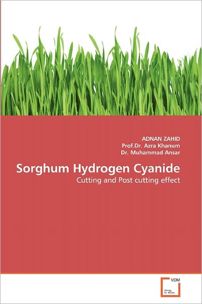 Cover for Dr. Muhammad Ansar · Sorghum Hydrogen Cyanide: Cutting and Post Cutting Effect (Paperback Book) (2011)