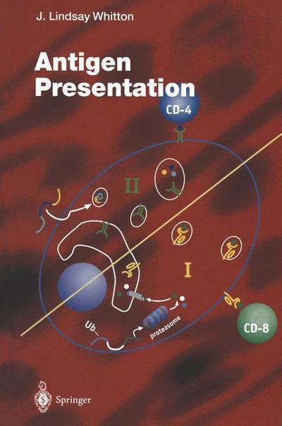 Cover for J Lindsay Whitton · Antigen Presentation - Current Topics in Microbiology and Immunology (Paperback Book) [Softcover reprint of the original 1st ed. 1998 edition] (2012)