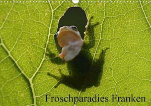 Cover for Bachmeier · Froschparadies Franken (Wandk (Book)