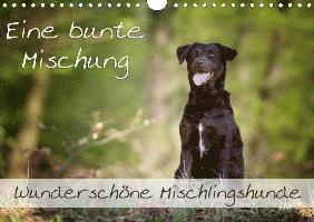 Cover for Noack · Eine bunte Mischung - wunderschön (Book)