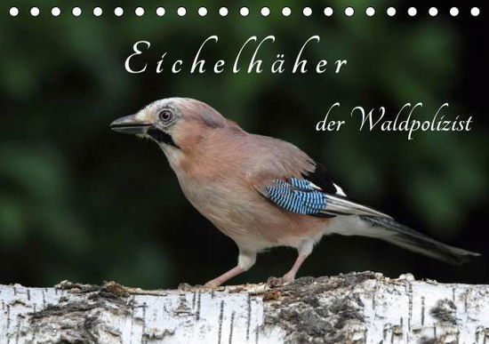 Cover for Konieczka · Eichelhäher der Waldpolizist (Book)