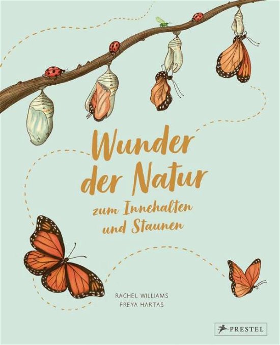 Cover for Williams · Wunder der Natur zum Innehalte (Bog)