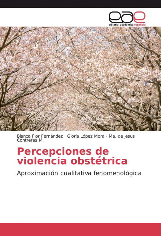 Cover for Fernández · Percepciones de violencia obs (Book)