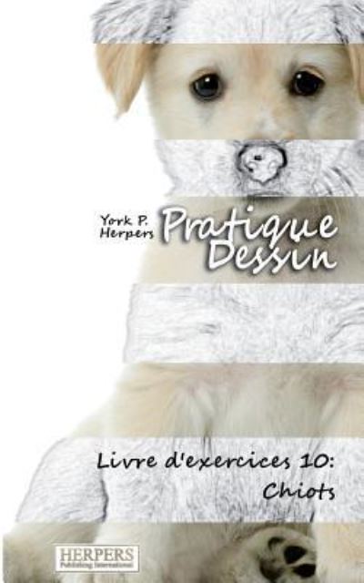 Cover for York P Herpers · Pratique Dessin - Livre d'exercices 10 (Paperback Book) (2015)