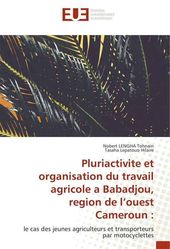 Cover for Tohnain · Pluriactivite et organisation d (Buch) (2019)