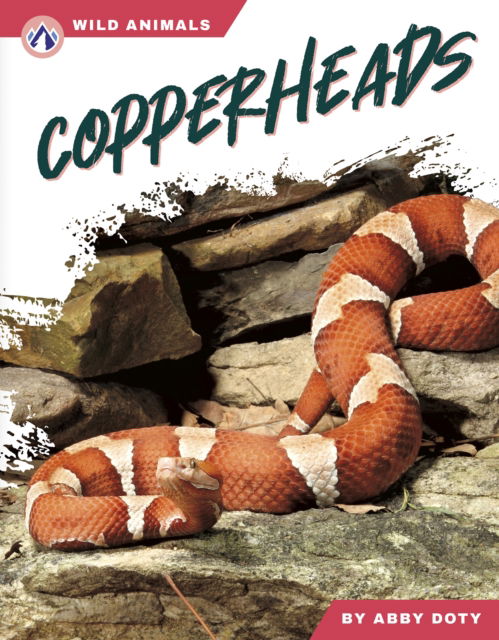 Cover for Abby Doty · Copperheads - Wild Animals Set 2 (Hardcover Book) (2025)