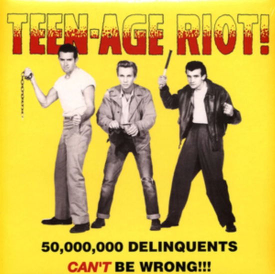 Cover for Various Artist · Teen-Age Riot! - 50.000.000 Delinquents Cant Be Wrong!!! (LP) (2023)