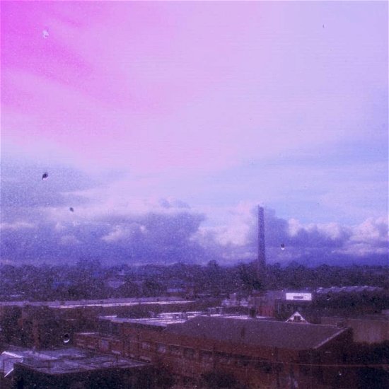 Cover for Flyying Colours · You Never Know (LP) [Coloured edition] (2023)