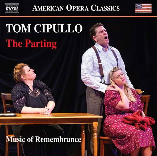 Cover for Music of Remembrance / Willis · Tom Cipullo: The Parting (CD) (2020)