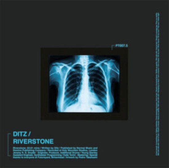 Cover for Ditz · Riverstone (7&quot;) (2023)