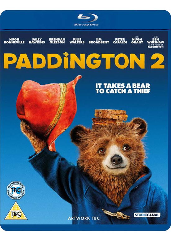 Paddington 2 - Paddington 2 - Films - Studio Canal (Optimum) - 5055201838476 - 12 mars 2018