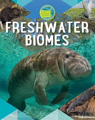 Cover for Louise A Spilsbury · Freshwater Biomes (Paperback Book) (2018)