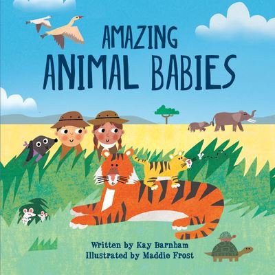 Amazing Animal Babies - Kay Barnham - Books - Crabtree Publishing Company - 9780778782476 - July 31, 2020
