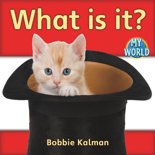 What is It? (Bobbie Kalman's Leveled Readers: My World: A) - Bobbie Kalman - Books - Crabtree Publishing Company - 9780778795476 - February 28, 2011