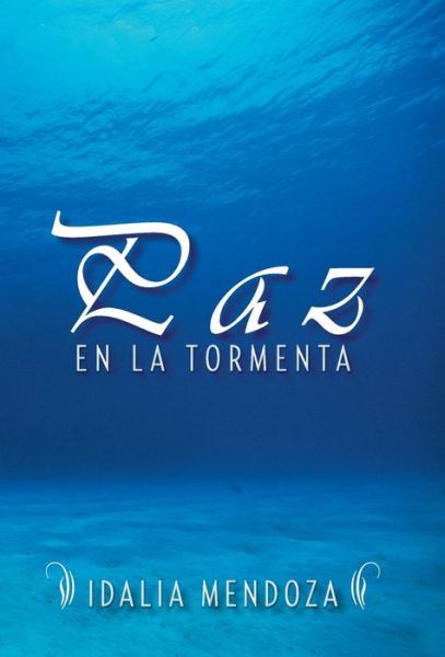 Cover for Idalia Mendoza · Paz en La Tormenta (Hardcover Book) [Spanish edition] (2013)