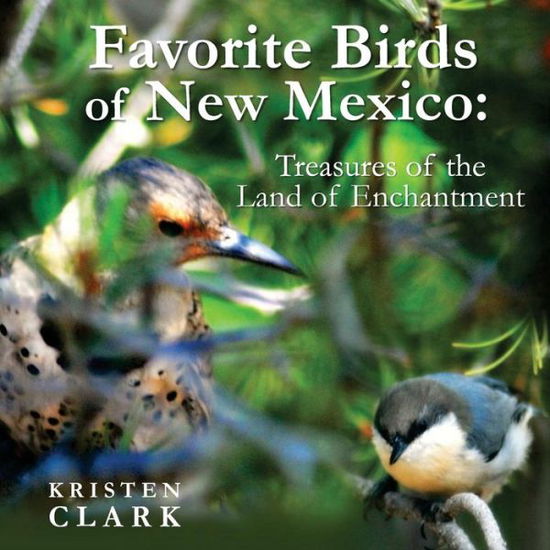 Cover for Kristen Clark · Favorite Birds of New Mexico (Paperback Book) (2016)