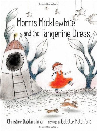 Morris Micklewhite and the Tangerine Dress - Christine Baldacchino - Książki - Groundwood Books Ltd ,Canada - 9781554983476 - 12 czerwca 2014