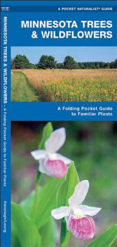 Cover for James Kavanagh · Minnesota Trees &amp; Wildflowers: a Folding Pocket Guide to Familiar Species (Pocket Naturalist Guide Series) (Pamphlet) [1st edition] (2017)