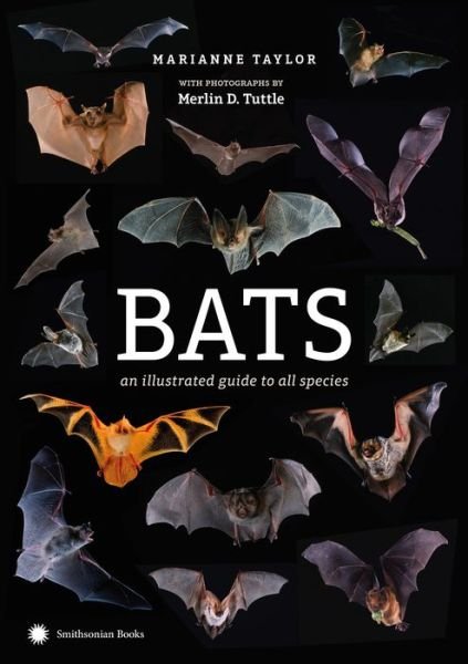 Cover for Marianne Taylor · Bats (Hardcover Book) (2019)