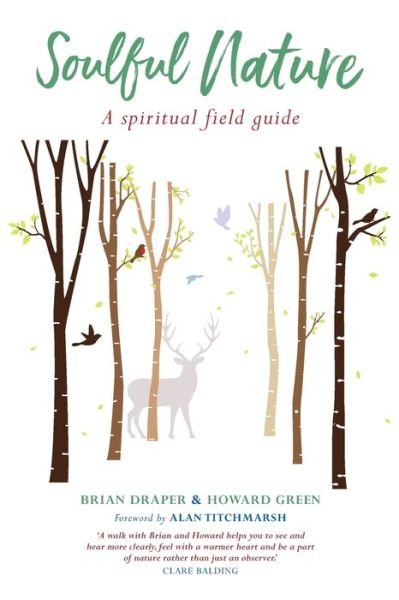 Cover for Brian Draper · Soulful Nature: A spiritual field guide (Pocketbok) (2020)