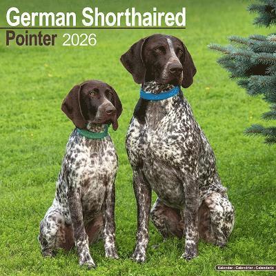 Cover for German Shorthair Pointer Calendar 2026  Square Dog Breed Wall Calendar - 16 Month (Calendar) (2025)