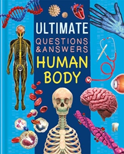 Cover for Autumn Publishing · Ultimate Questions &amp; Answers: Human Body (Inbunden Bok) (2023)
