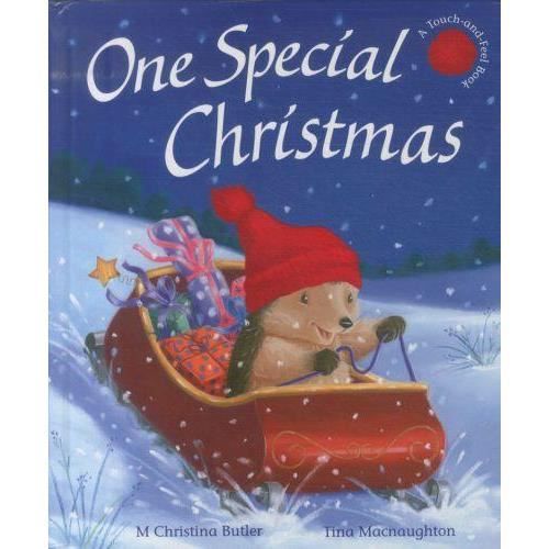 Cover for M Christina Butler · One Special Christmas - Little Hedgehog (Hardcover Book) [UK Ed. edition] (2013)