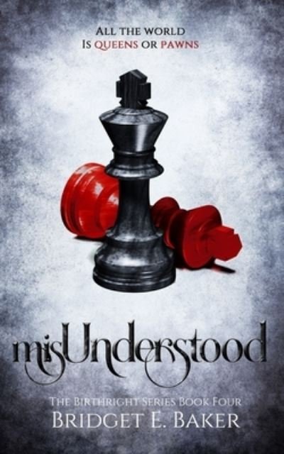 Cover for Bridget E Baker · Misunderstood (Paperback Book) (2020)