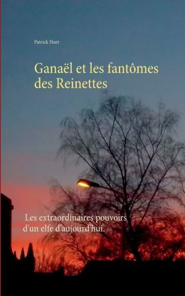 Cover for Patrick Huet · Ganael et les fantomes des Reinettes (Paperback Book) (2020)