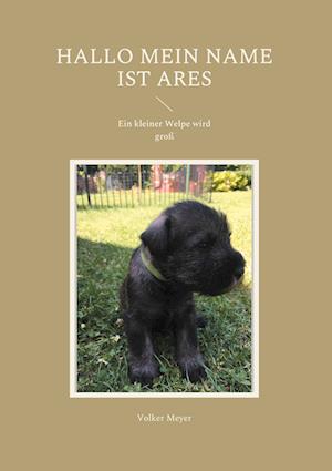 Cover for Volker Meyer · Hallo mein Name ist Ares (Hardcover Book) (2022)