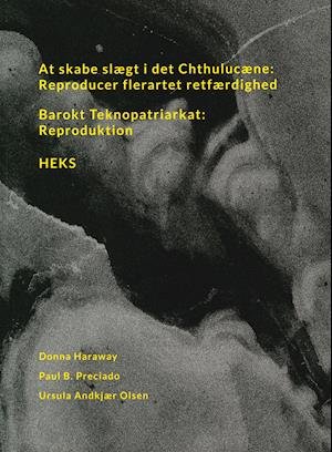 Cover for Donna Haraway, Paul B. Preciado, Ursula Andkjær Olsen · At skabe slægt i det Chthulucæne: Reproducer flerartet retfærdighed (Sewn Spine Book) [1th edição] (2018)